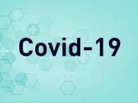 Admissões de Pessoal Relacionados ao Enfrentamento do Coronavírus - Covid-19