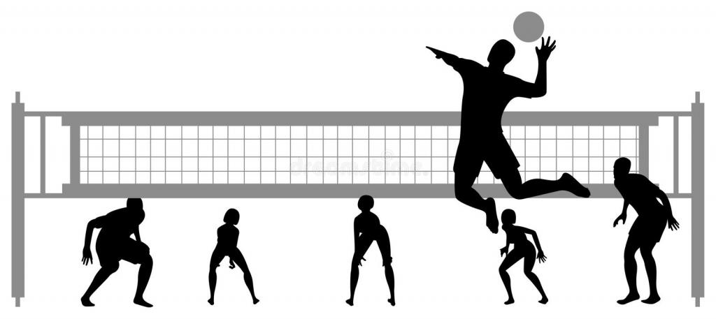 Voleibol